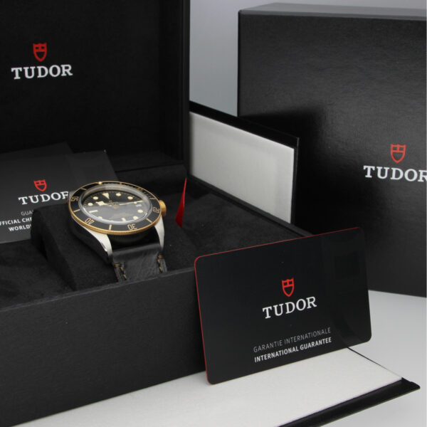 Tudor Black Bay S&G 79733N