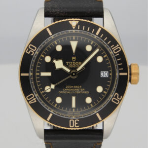 Tudor Black Bay S&G 79733N