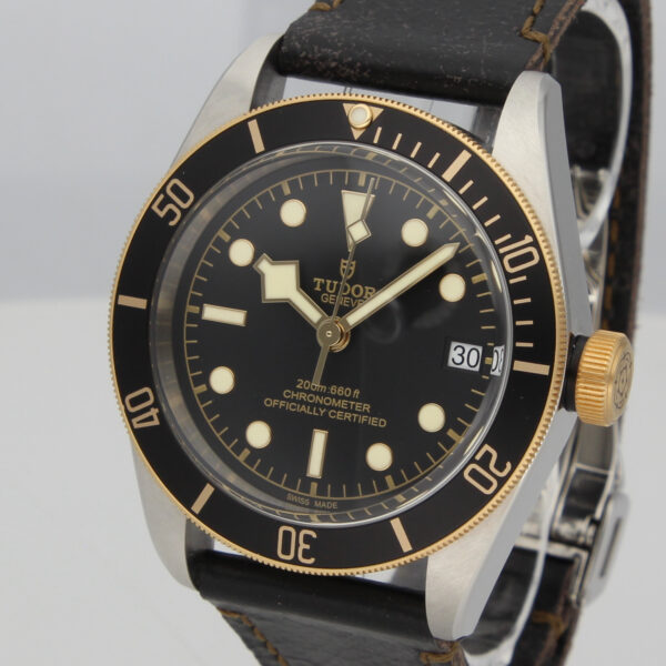 Tudor Black Bay S&G 79733N